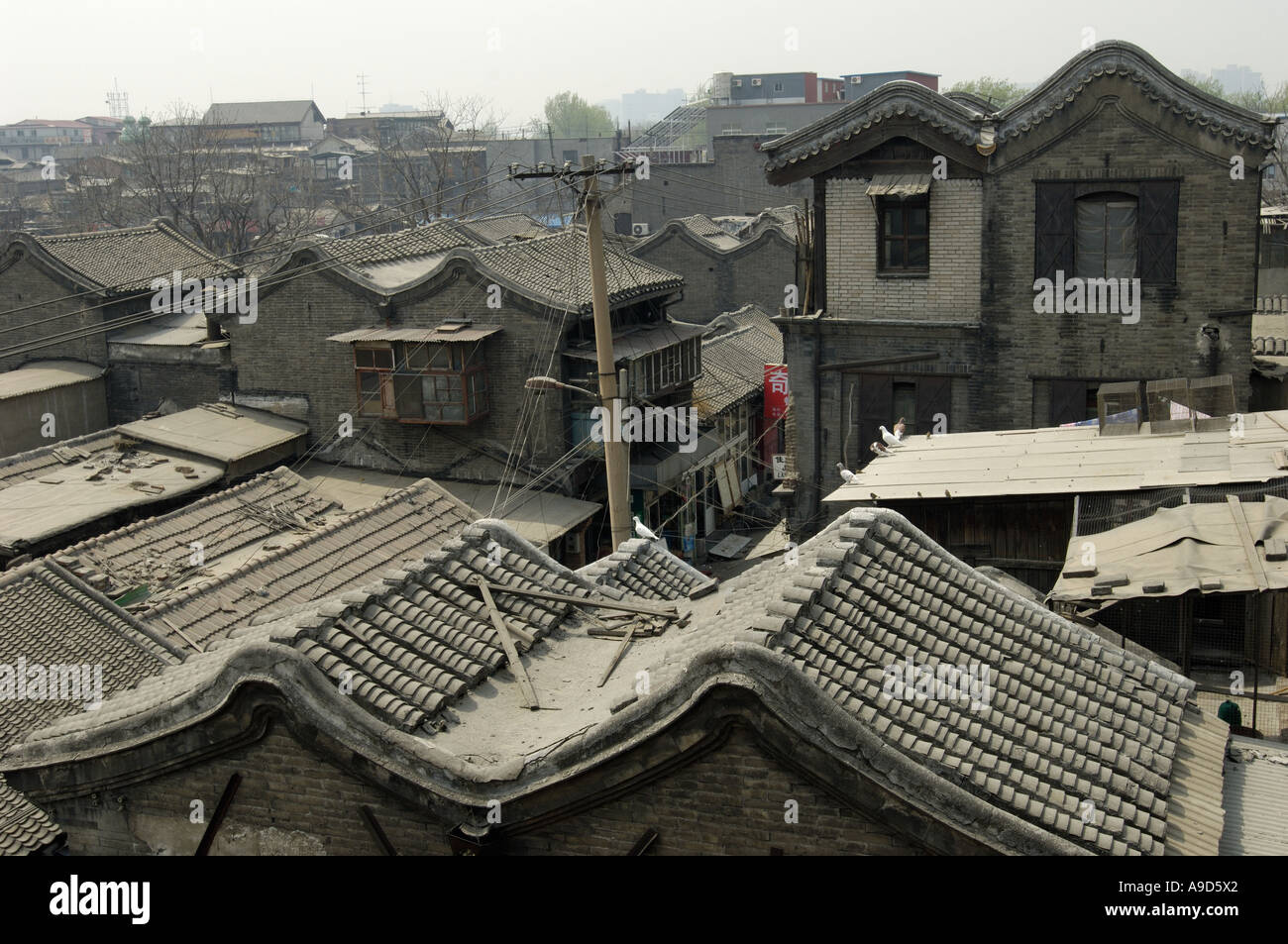dashilan-hutong-fotos-und-bildmaterial-in-hoher-aufl-sung-alamy