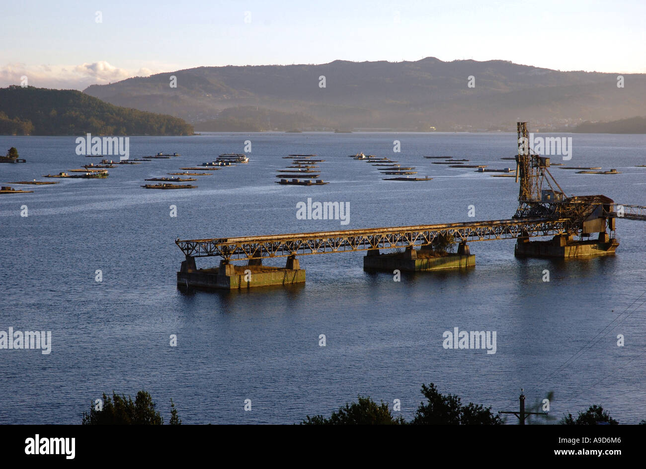 Blick auf schwimmenden Plattformen in Chapela Galizien Spanien iberischen Halbinsel Iberia España Europa verankert Stockfoto