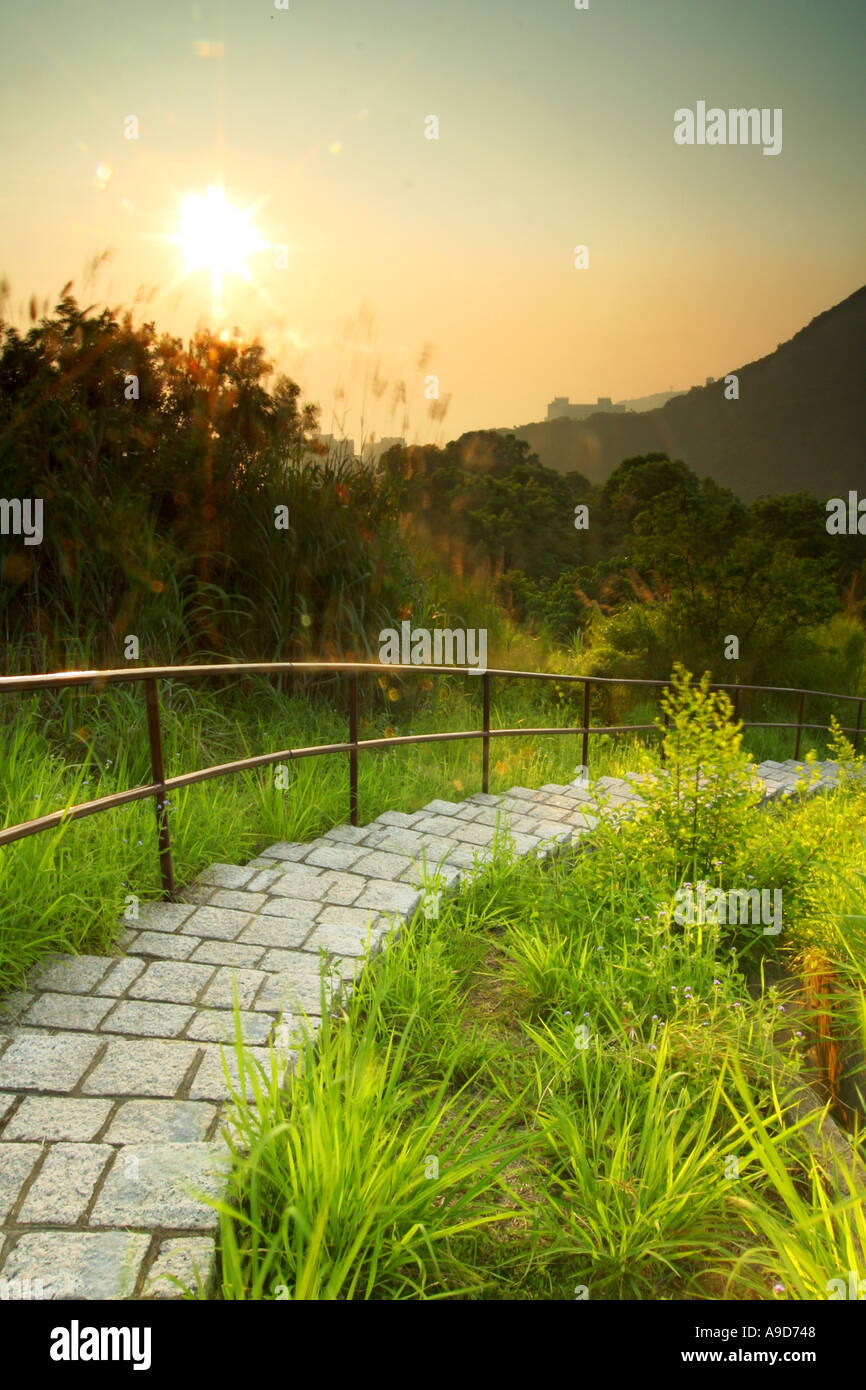 Sonnenuntergang am Hong Kong park Stockfoto