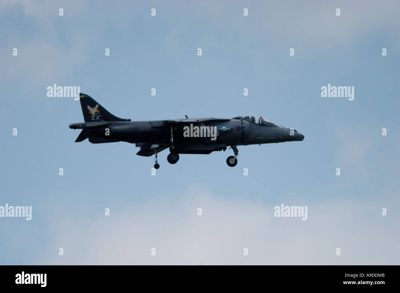 RAF Harrier GR.7 Stockfoto