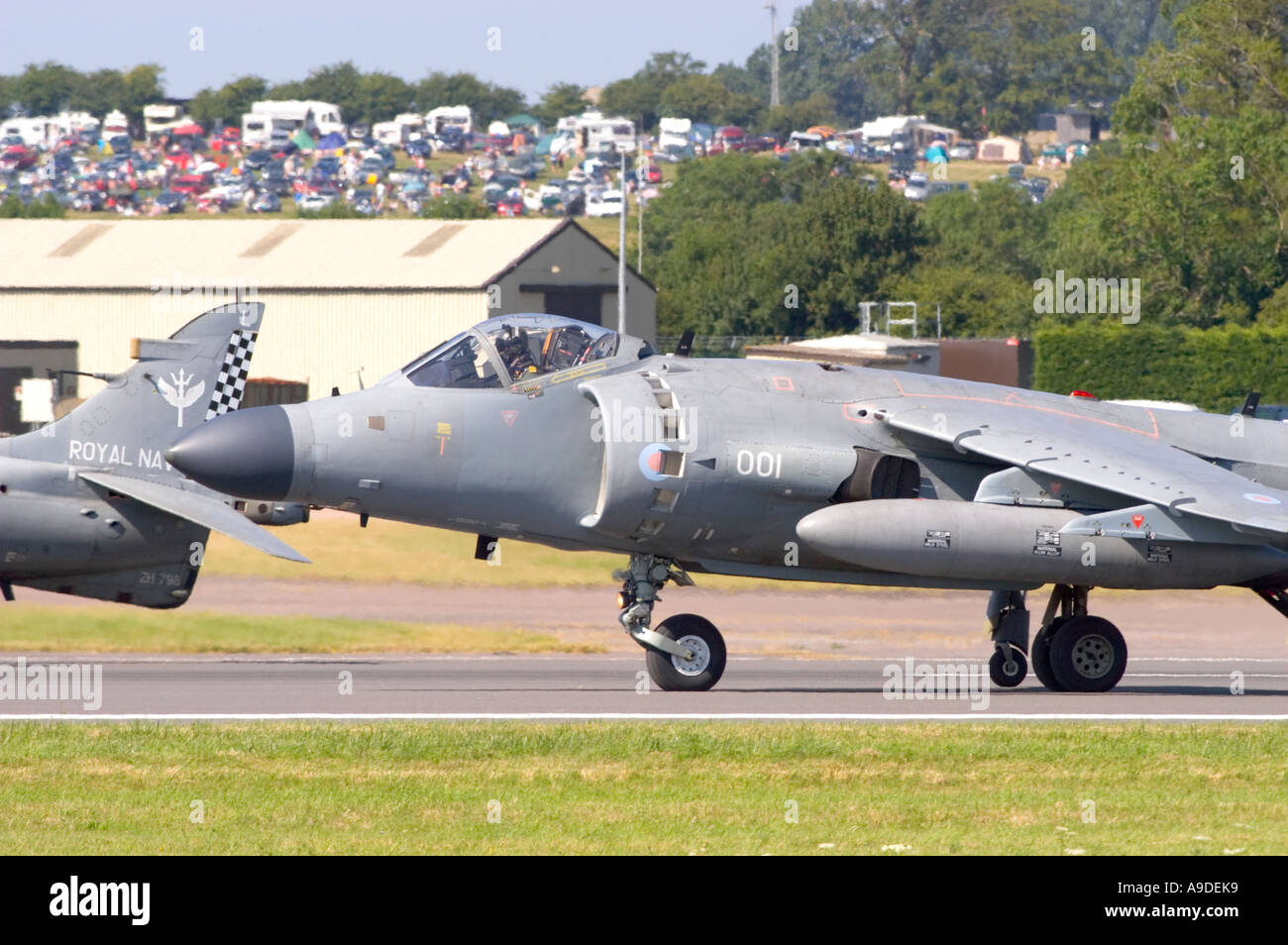 Royal Navy Sea Harrier Stockfoto