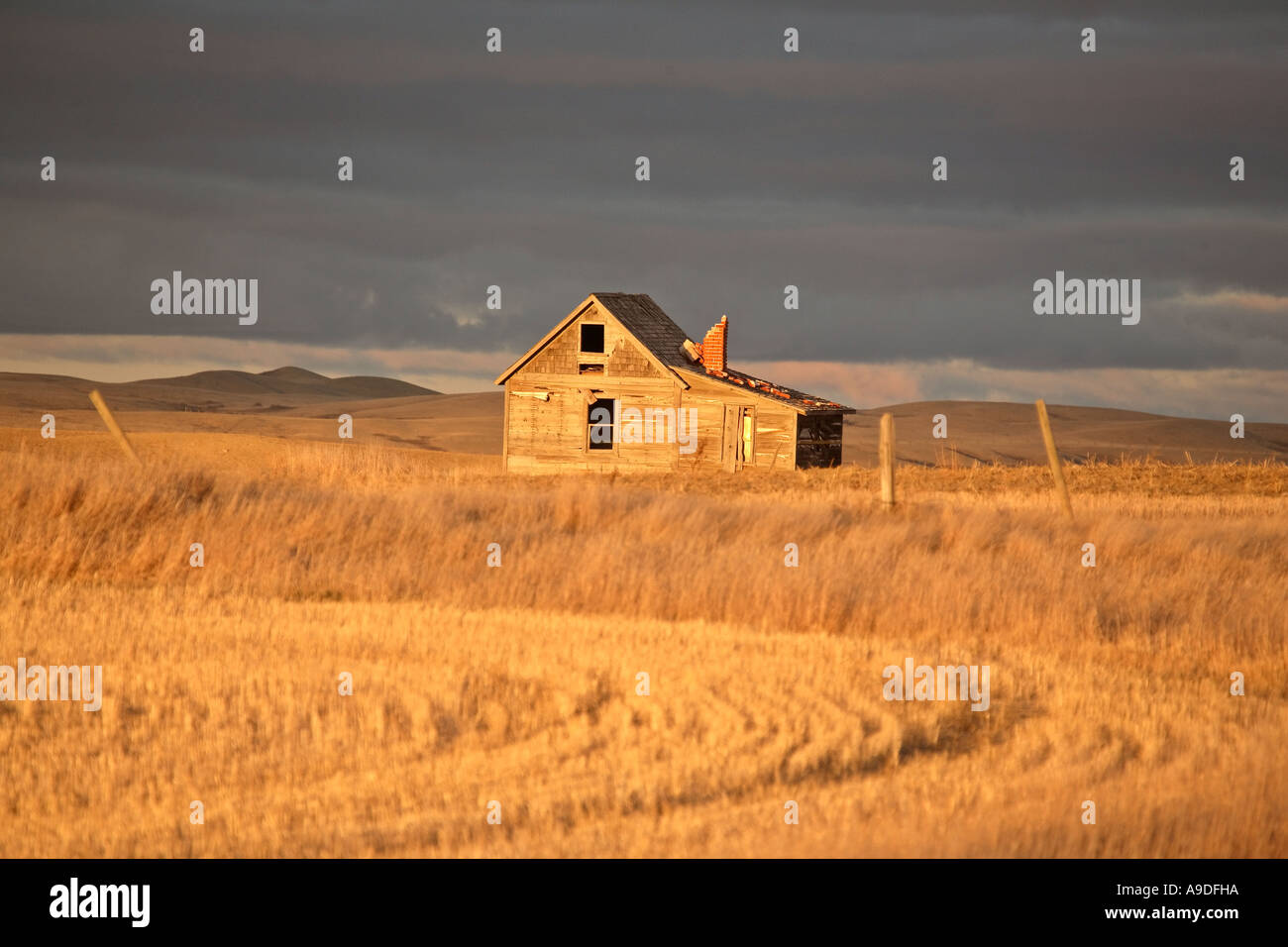 Ein Dilpapidated Bauernhaus in malerischen Saskatchewan Kanada Stockfoto