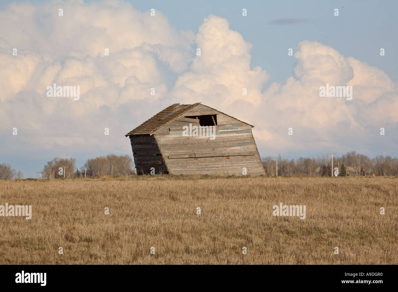 Einem alten schiefen Bauernhof Gebäude im malerischen Saskatchewan Kanada Stockfoto