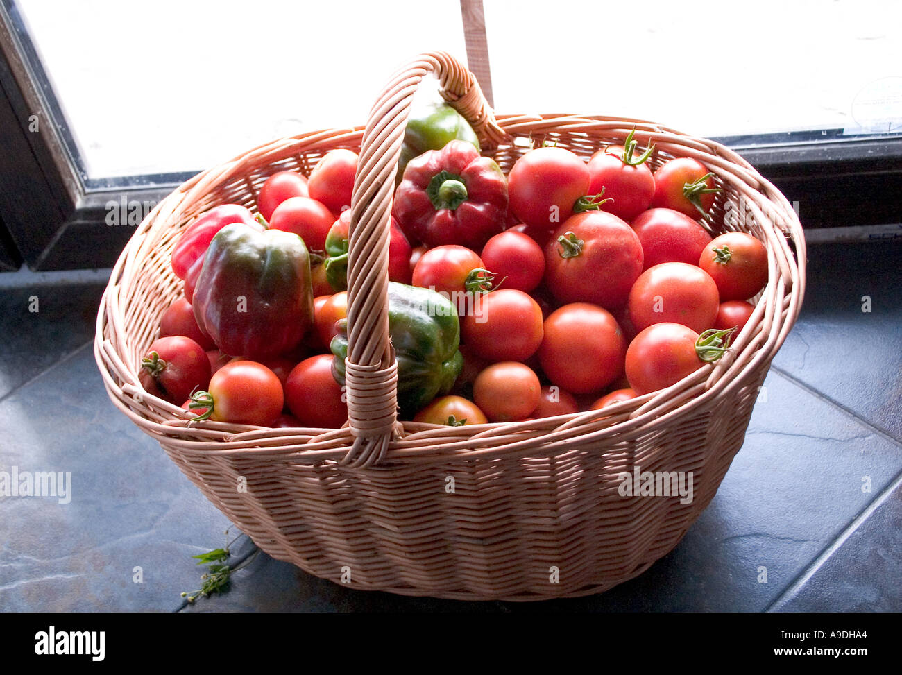 Frisch gepflückten Korb mit Tomaten und Paprika auf Küche Anrichte. Zawady Polen Stockfoto