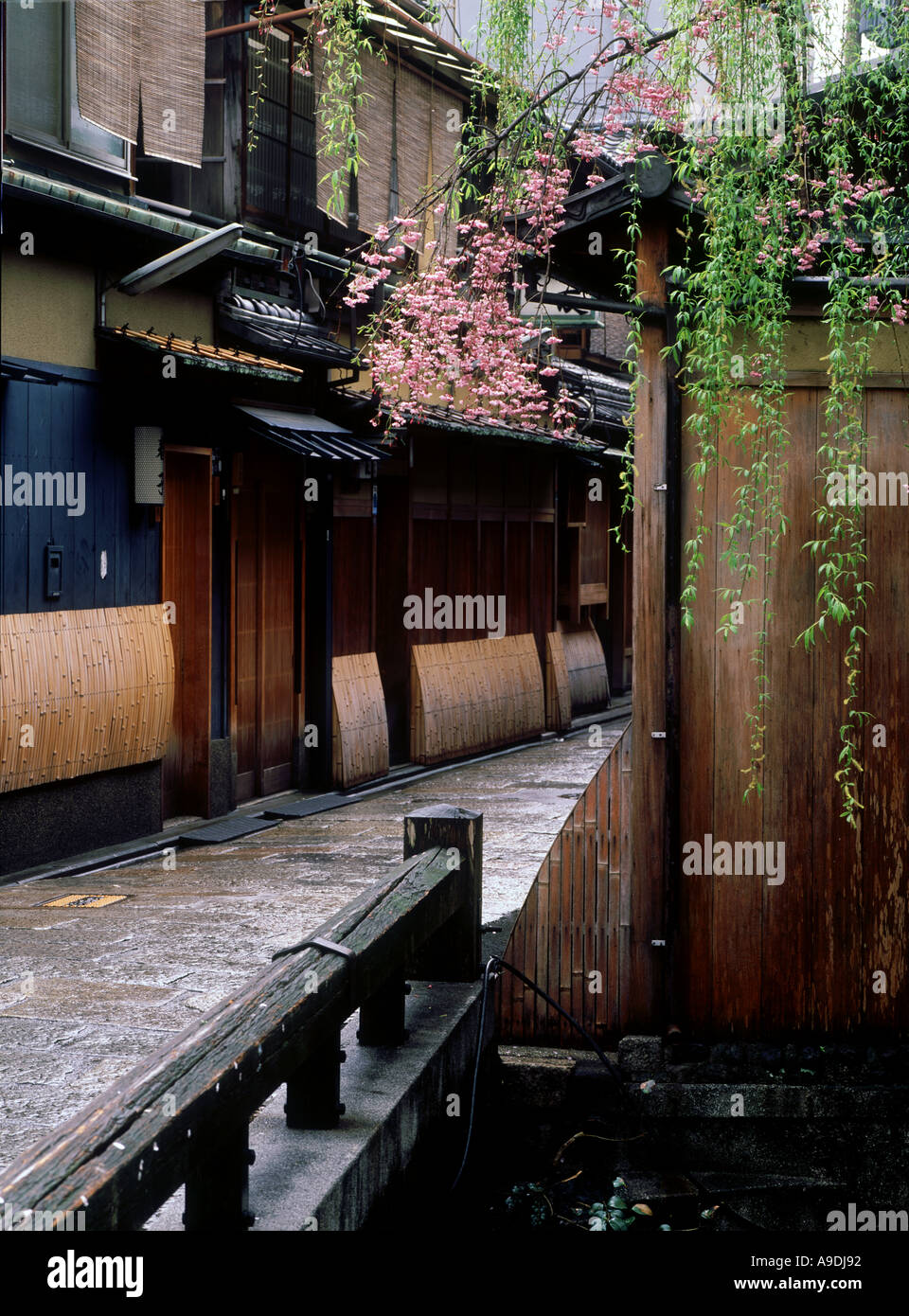 Gion im Frühjahr Kyoto Japan Stockfoto