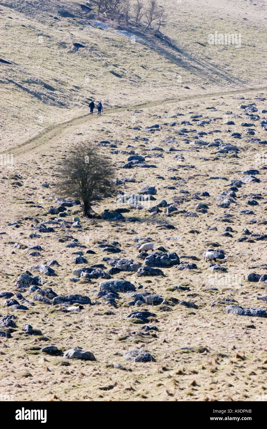 Blick über Fyfield unten in der Nähe von Marlborough in Wiltshire Stockfoto