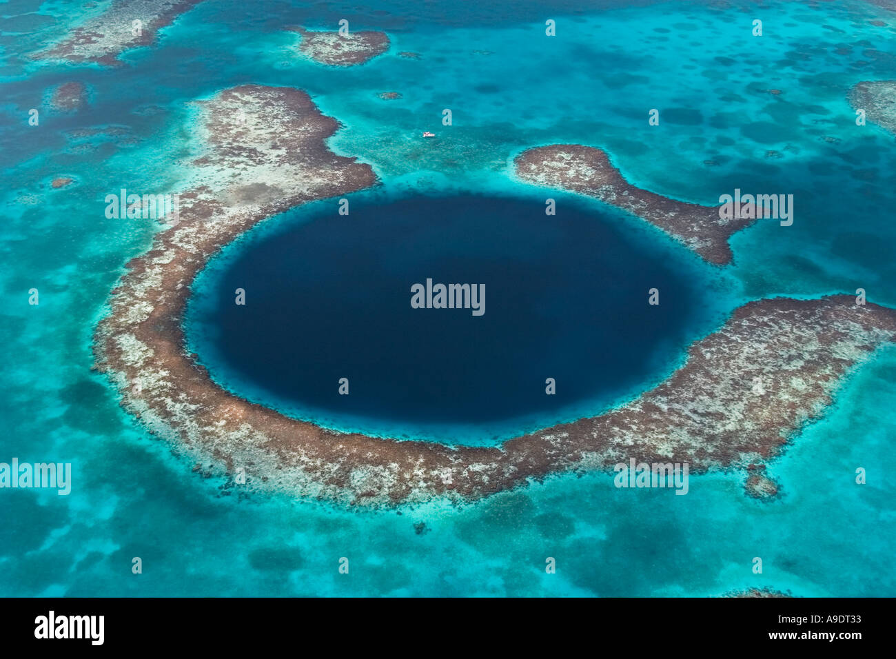 nr70837D THE BLUE HOLE Unterwasser Höhle Belize Mittelamerika Foto Copyright Brandon Cole Stockfoto