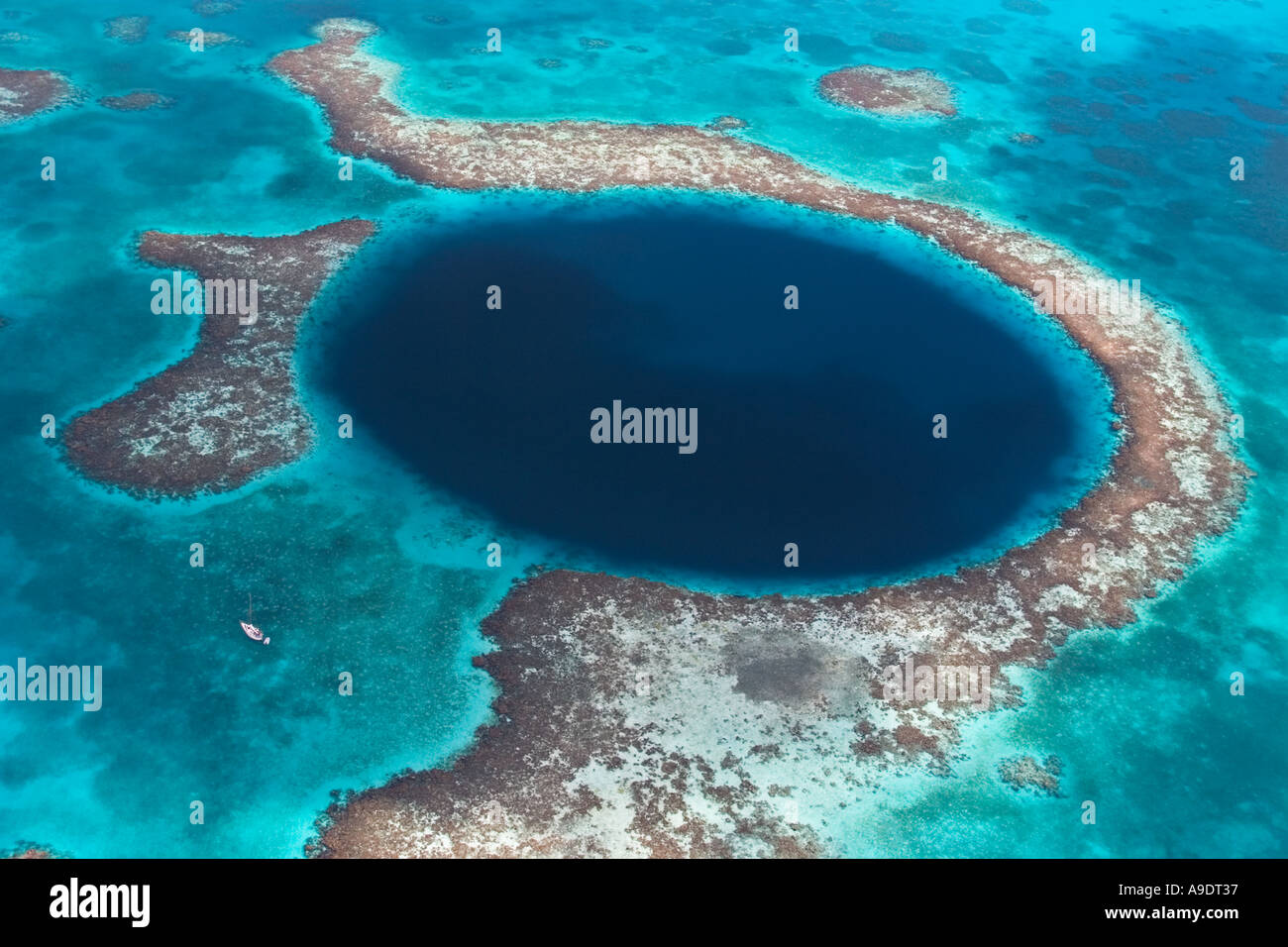 nr70840D THE BLUE HOLE Unterwasser Höhle Belize Mittelamerika Foto Copyright Brandon Cole Stockfoto