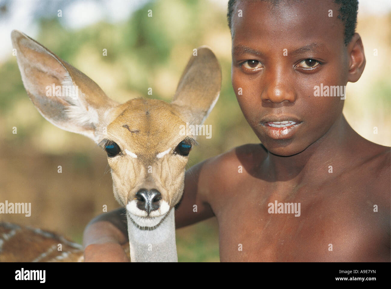 Junge Junge Karo mit zahmen Lesser Kudu Murulle Äthiopien Stockfoto