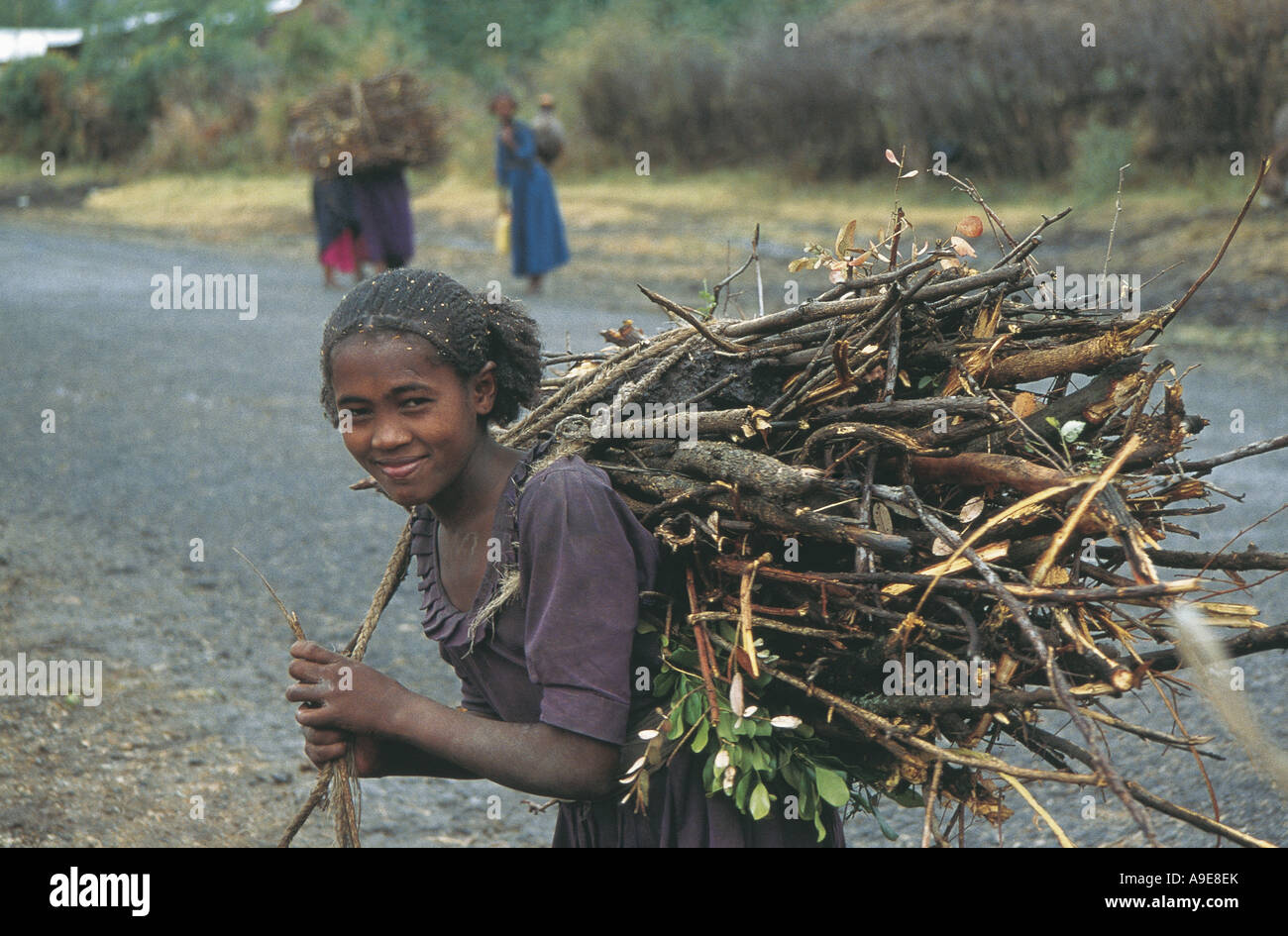 Junge Frau trägt riesige Bündel Holz auf dem Rücken Äthiopien Stockfoto