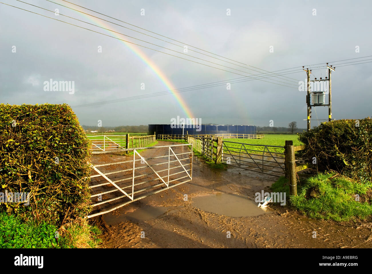 Regenbogen über Ackerland, Gnosall, Staffordshire, England. Stockfoto