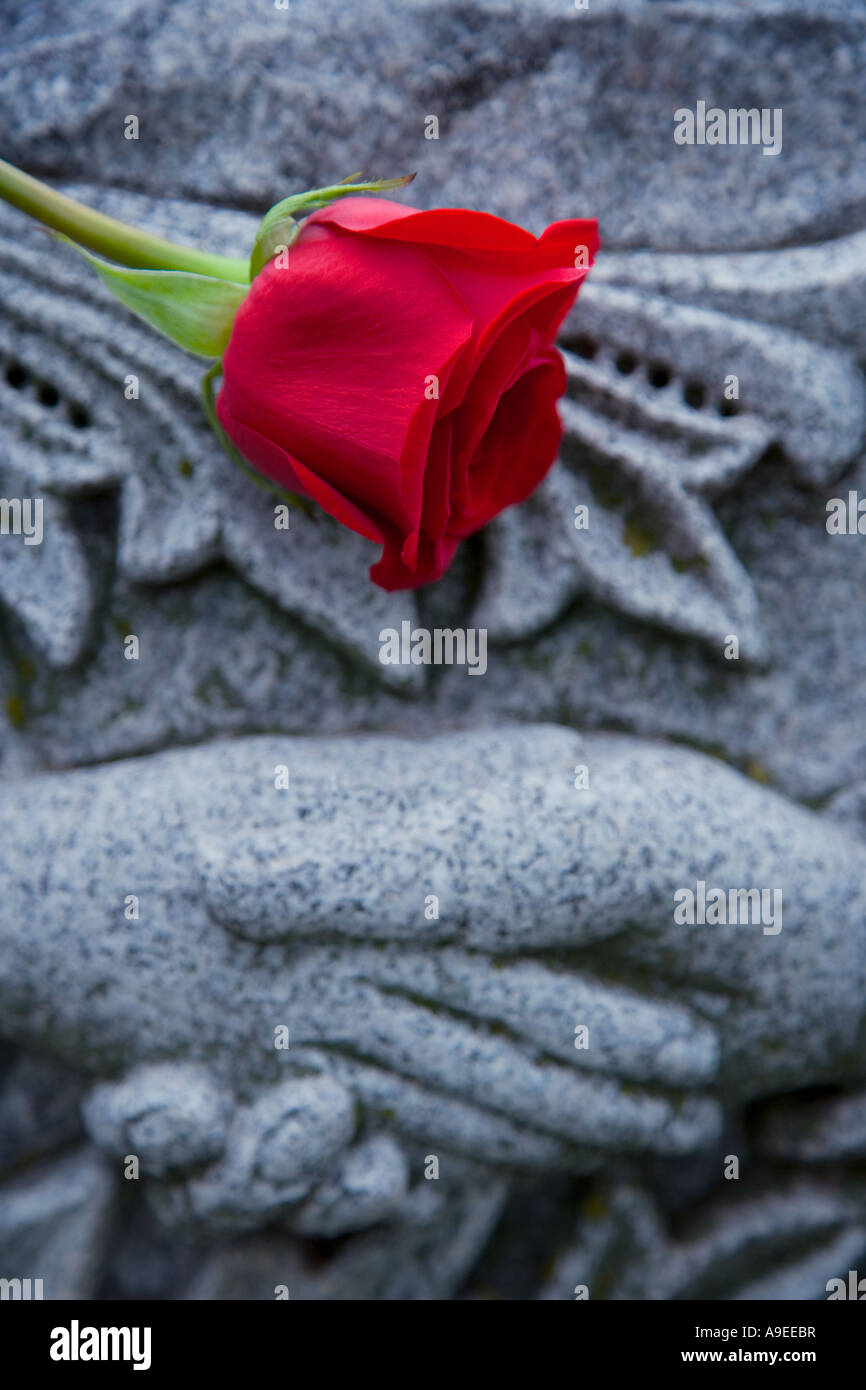 Eine rote Rose liegt auf ein Denkmal aus Marmor Friedhof Stockfoto
