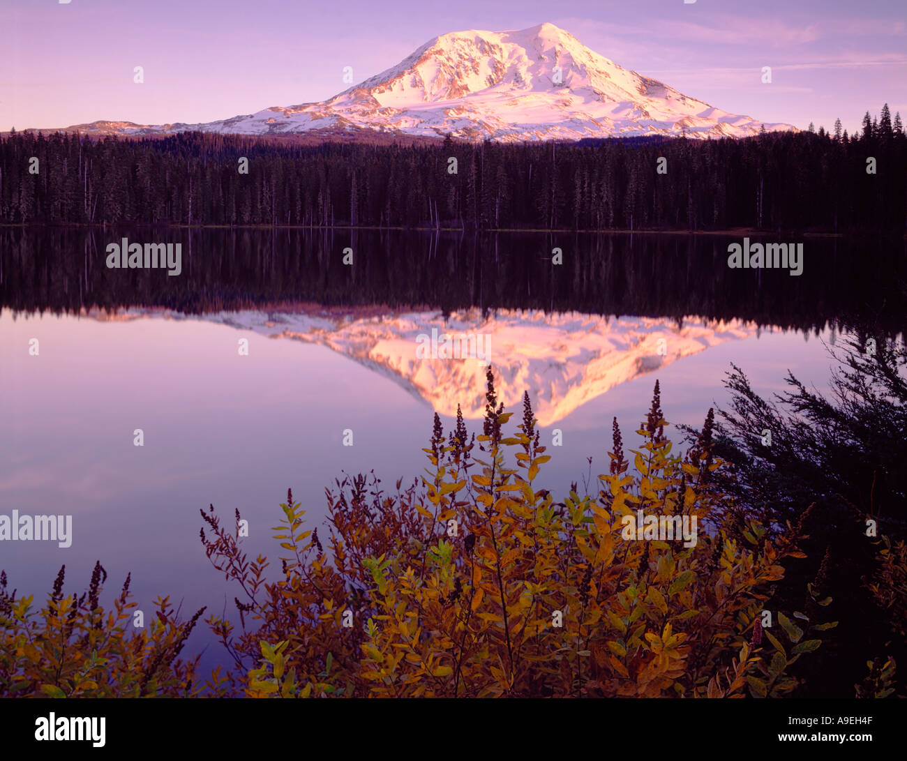 Gifford Pinchot National Forest WA Schnee überdachten Mt Adams in den stillen Wassern des Taklakh Sees mit Herbst spiegelt sich farbige Spira Stockfoto