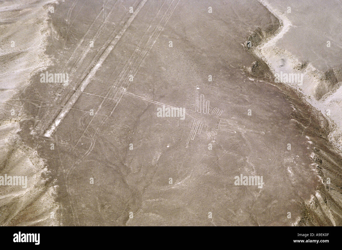Kolibri Figur in der Nazca-Wüste Stockfoto