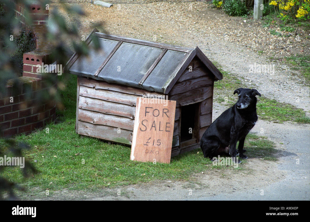 Eine Hundehütte für den Verkauf in das Dorf Bawdsey, Suffolk, UK. Stockfoto