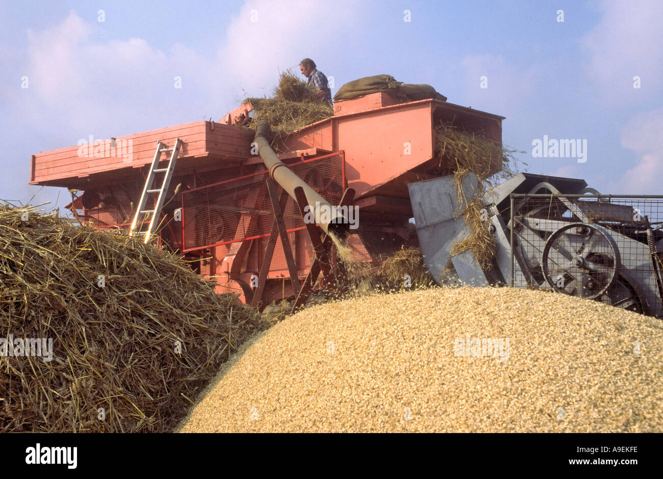 Traditionelle Dampf betriebene Dreschmaschine UK Norfolk Stockfoto