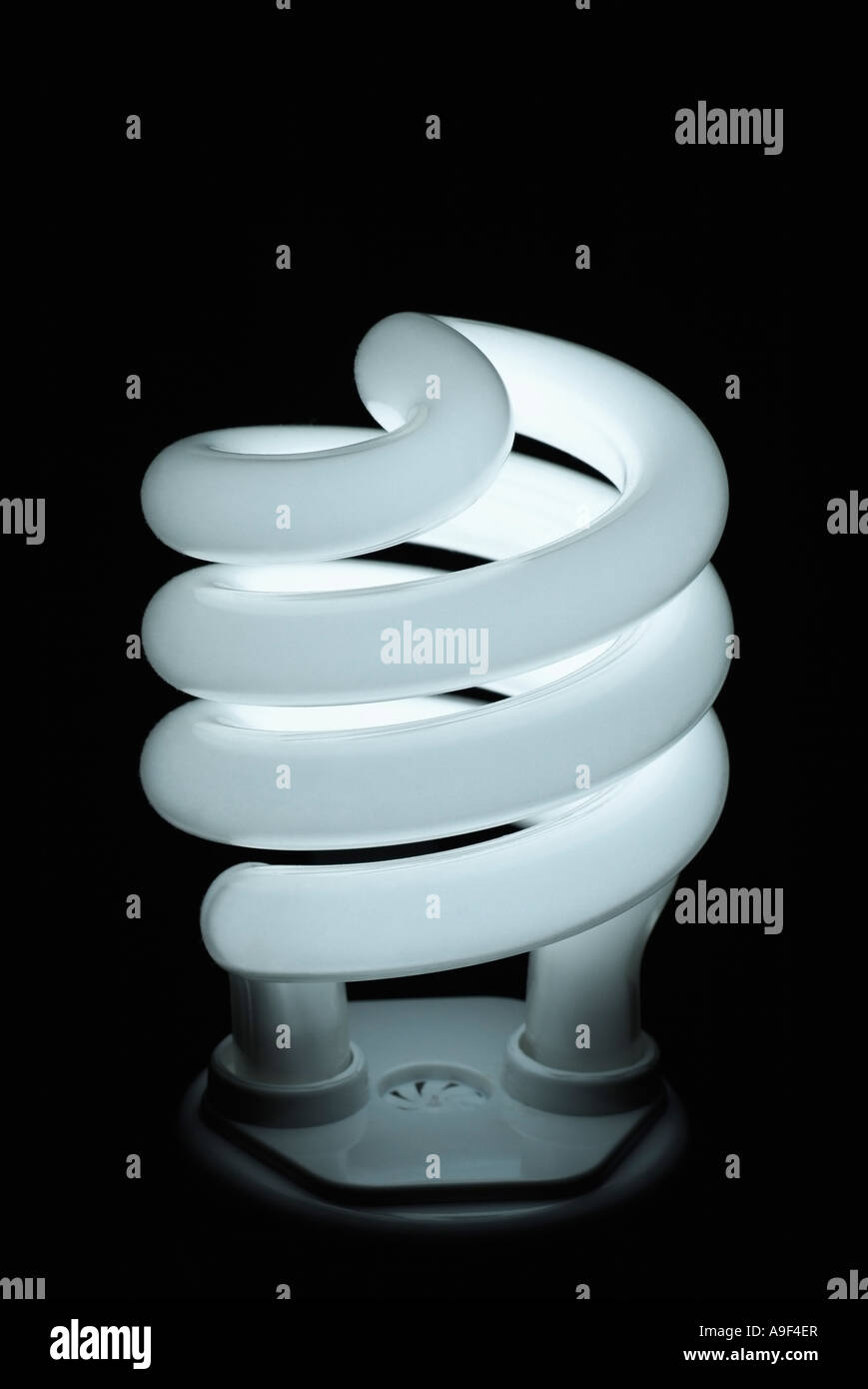 Energie effiziente Glühbirne Nahaufnahme Stockfoto