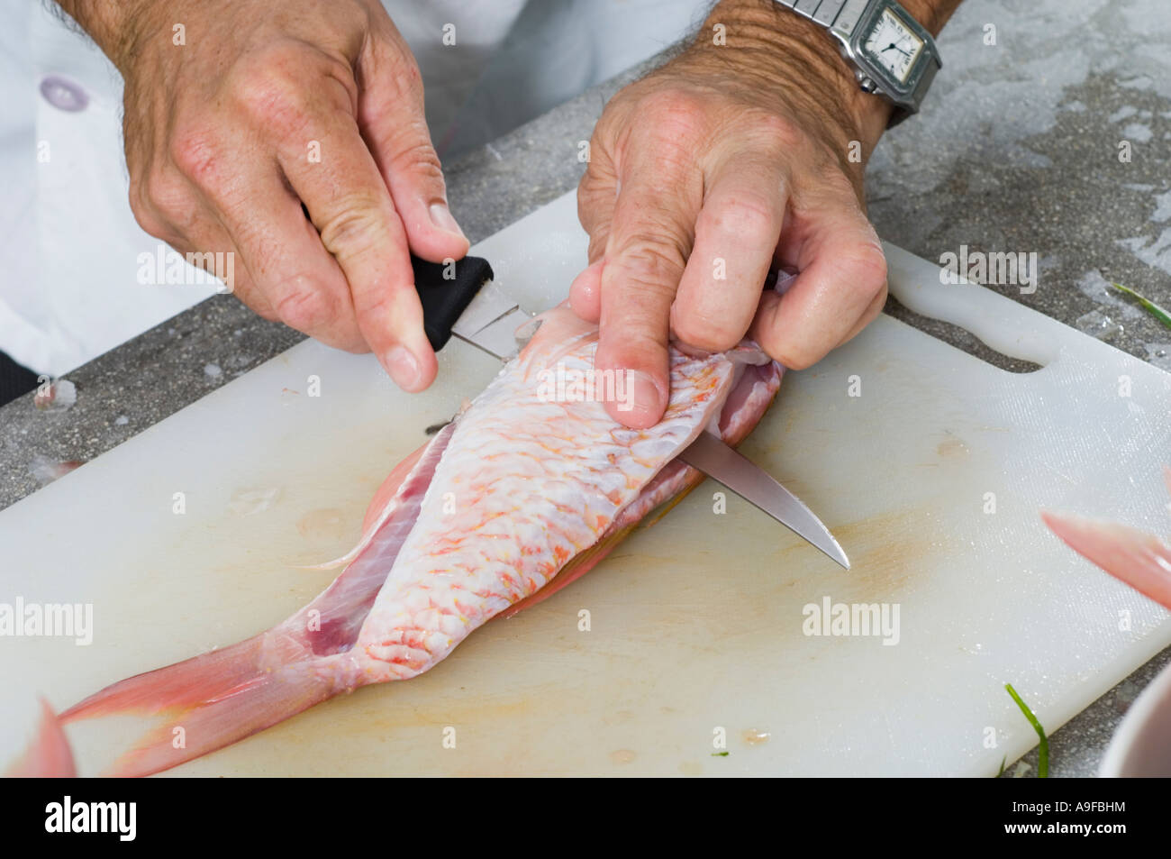 Koch Filetieren frische goatfish Stockfoto