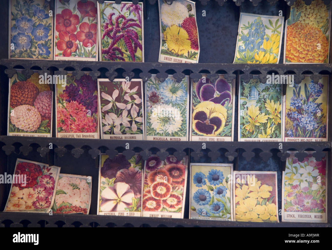 Alte Blumen Samentüten Stockfoto