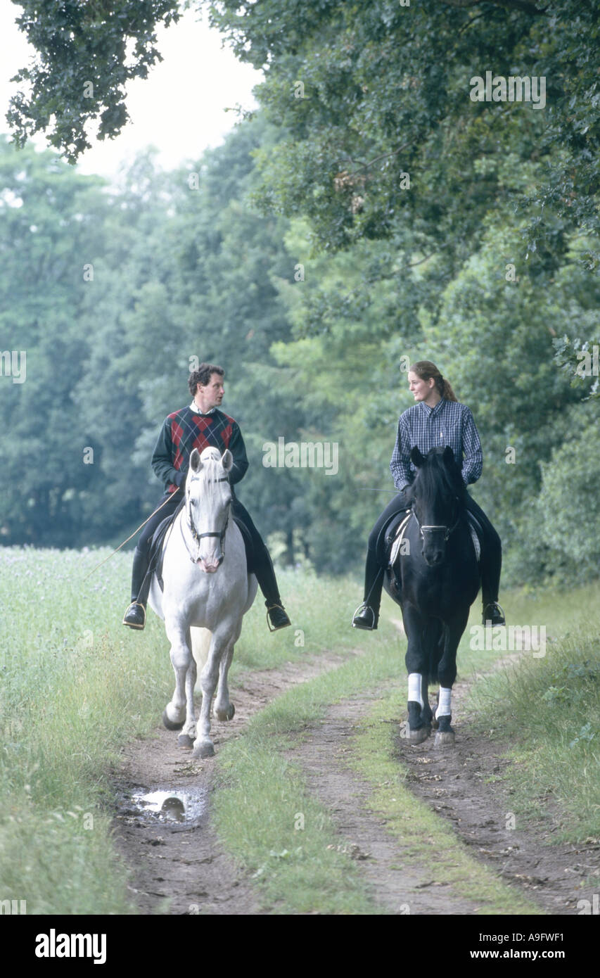 Kladruber (Equus Przewalskii F. Caballus), R. Hinrichs, Reiten Stockfoto
