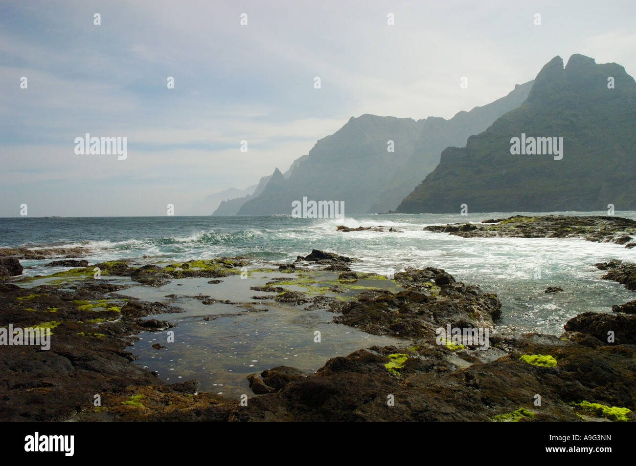 Felsen am Strand von Punta del Hidalgo, auf der Kanarischen Insel Teneriffa, Spanien, Teneriffa Stockfoto