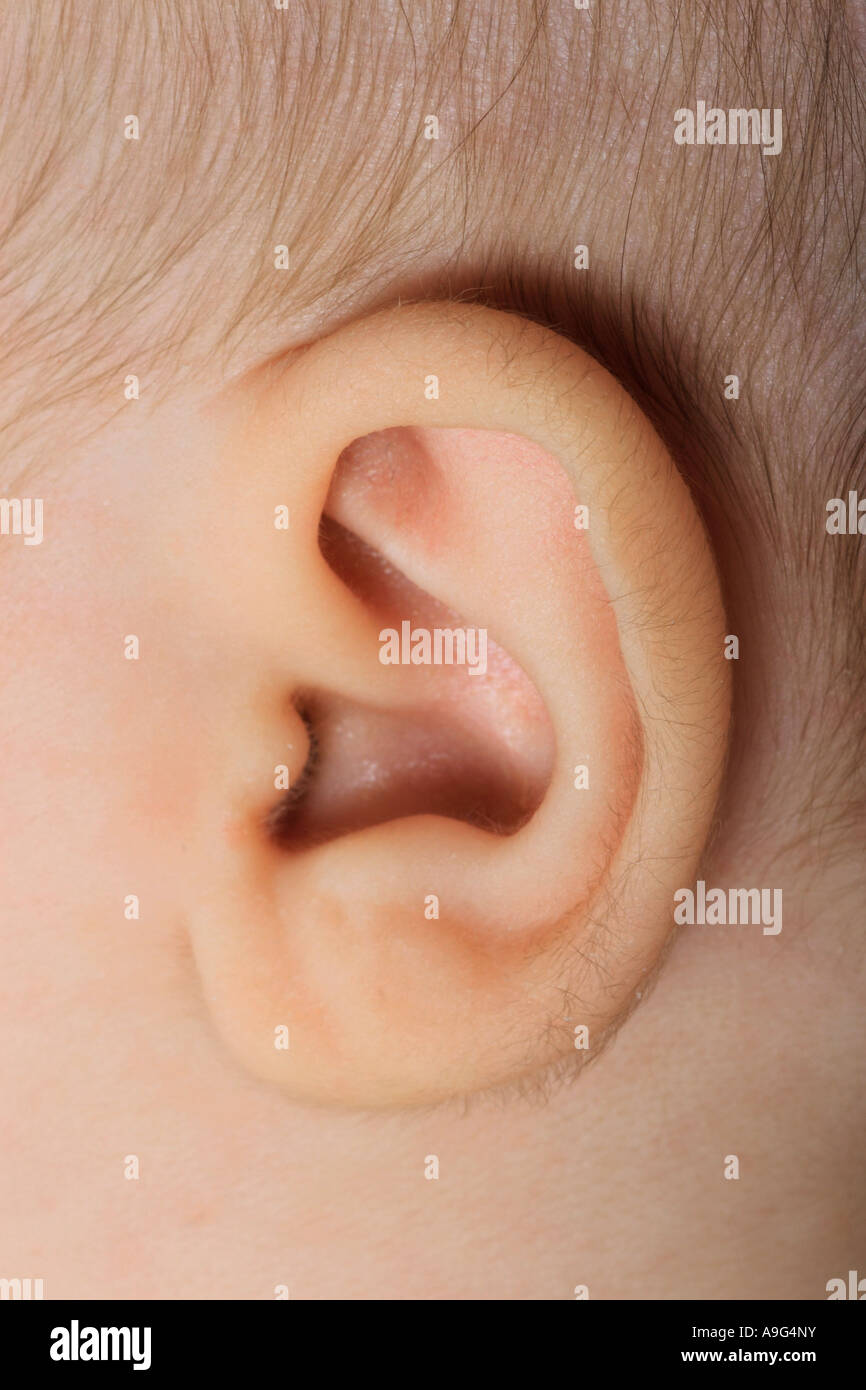 linkes Ohr eines Babys Stockfoto