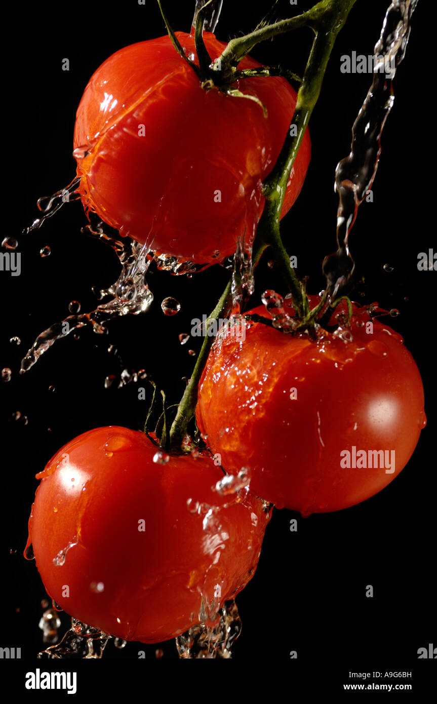 Frische saftige rote Tomaten in einem Strom von Spritzwasser isoliert auf schwarz Stockfoto