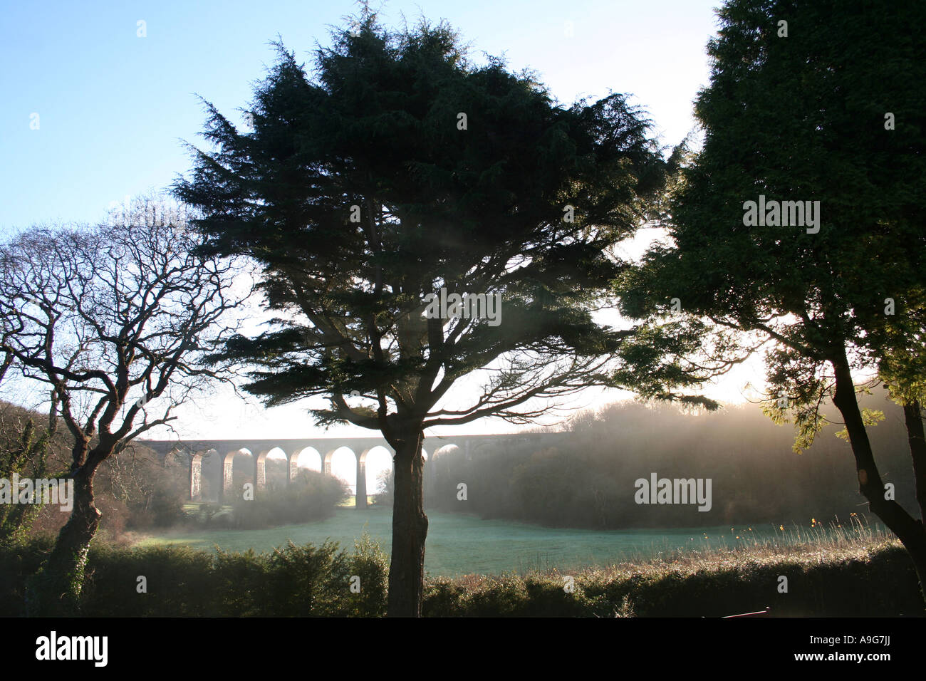 Am frühen Morgen Porthkerry Viadukt Barry Stockfoto