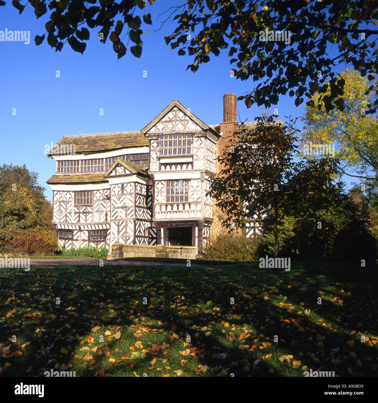 Herbst in kleinen Moreton Hall, Gelehrter grün, in der Nähe von Congleton Cheshire Stockfoto