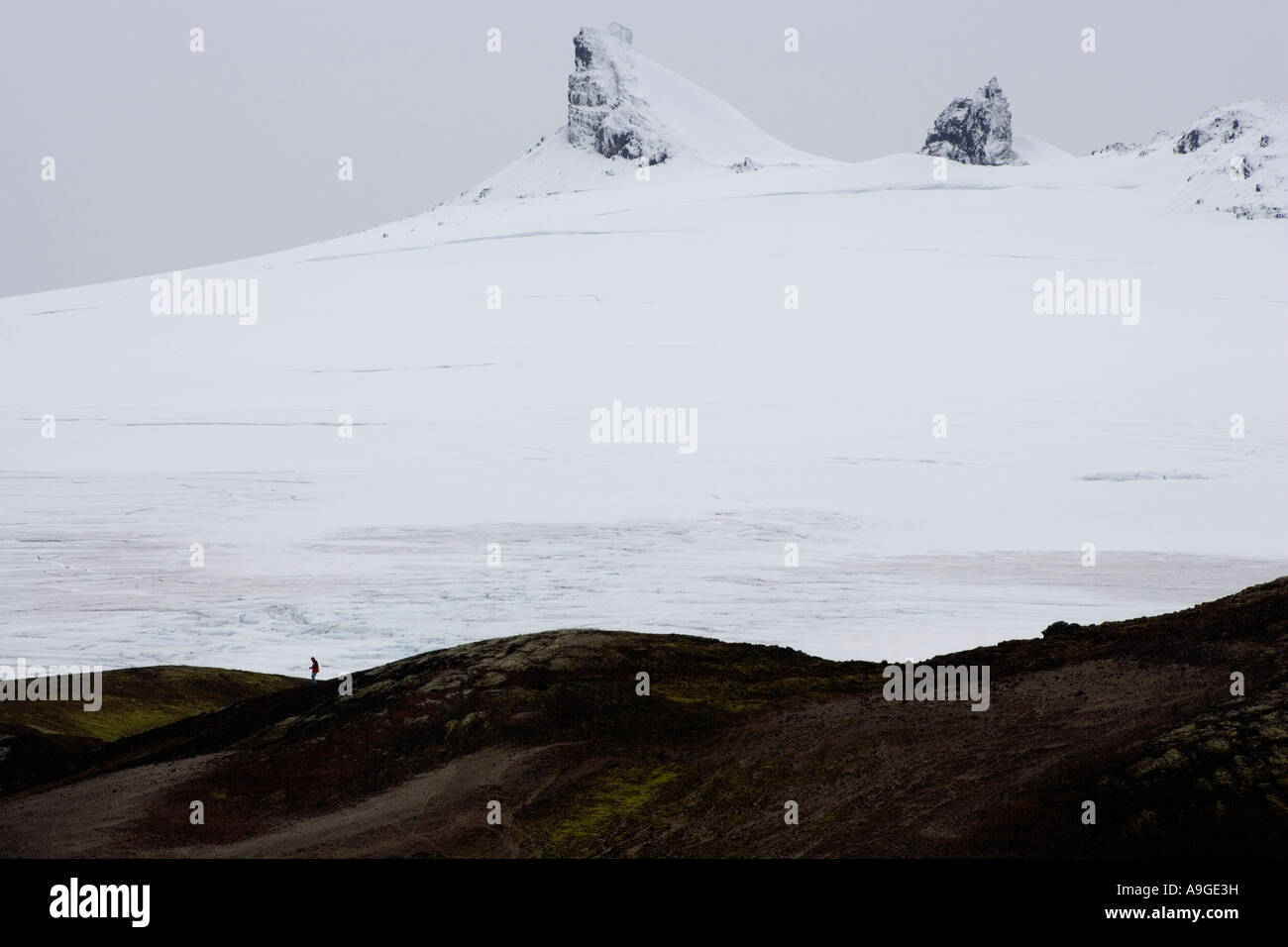 Touristen an den Wurzeln des Gletschers Snaefellsjökull Stockfoto