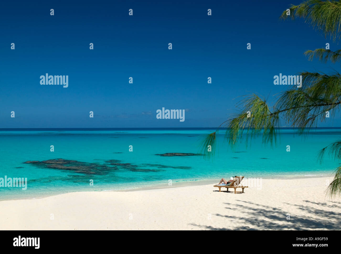 Salt Cay Insel, Türken & Caicos, Caribbean Stockfoto