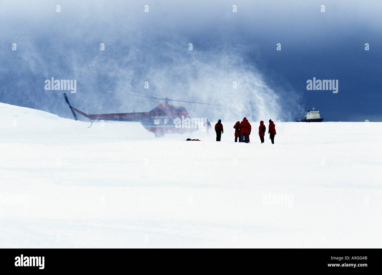 Russische MI-2 Hubschrauber Landung auf dem Eis der Antarktis. Stockfoto