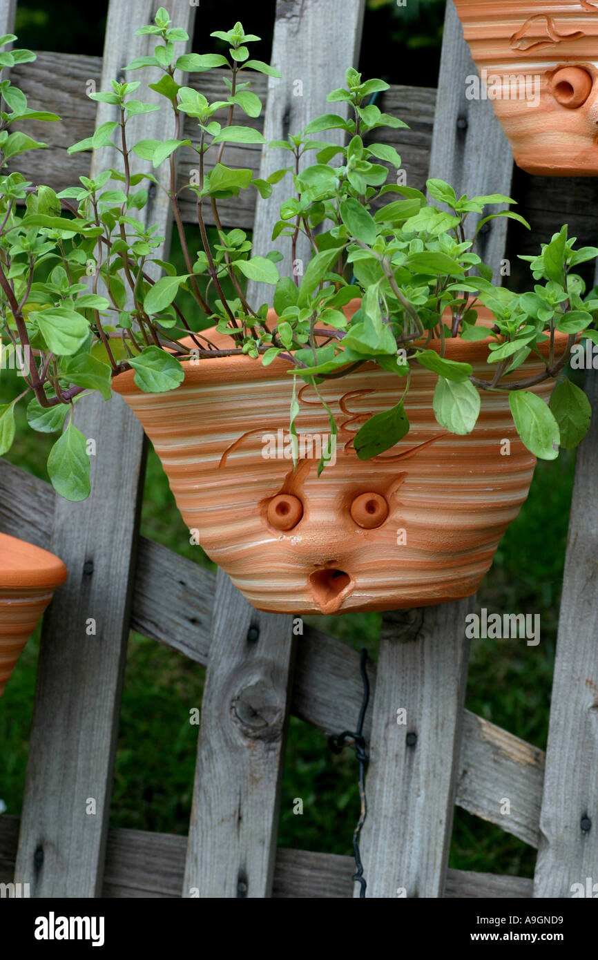 Korb mit Terrakotta, hängen an einem Wodden Zaun hängen Stockfoto