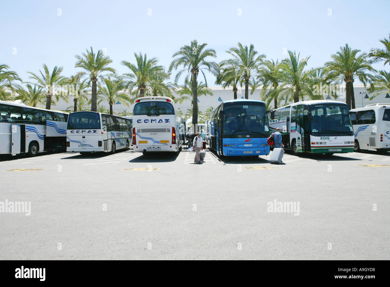 Trainer für Touristen und Urlauber, die aufgereiht in Magaluf Spanien Mallorca Stockfoto