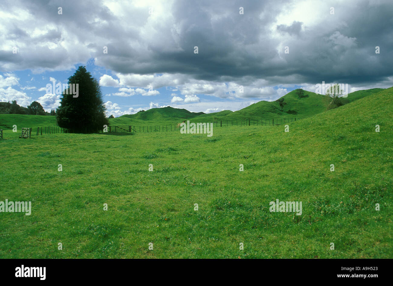Landschaft der Nordinsel von Neuseeland Stockfoto