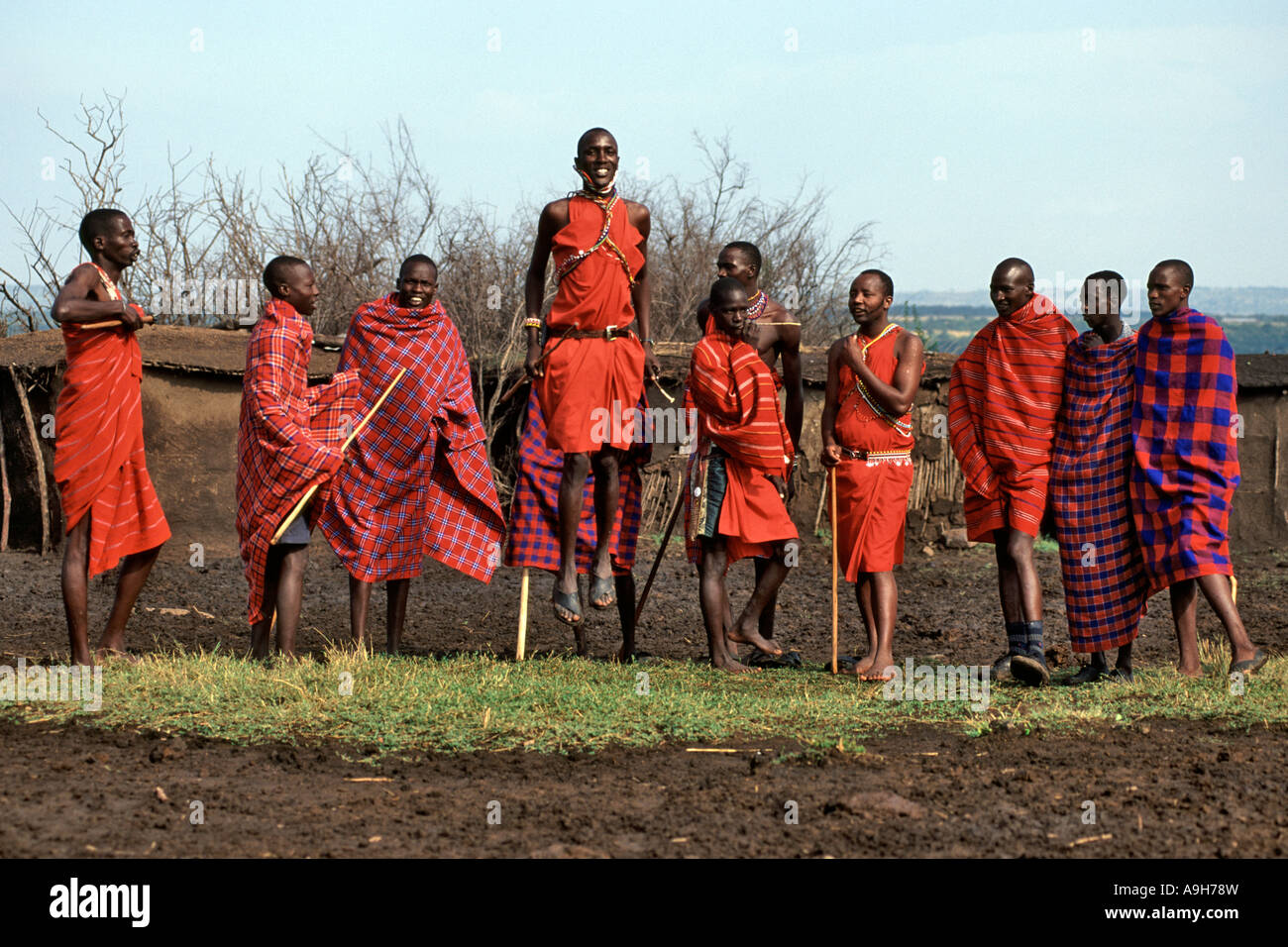 Eine Gruppe von Massai-Männer, die einen traditionellen Tanz in ihrem Dorf (genannt ein Manyatta) in der Masai Mara in Kenia. Stockfoto