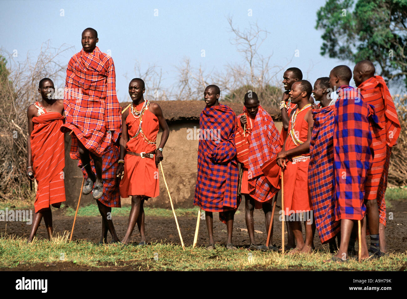 Eine Gruppe von Massai-Männer, die einen traditionellen Tanz in ihrem Dorf (genannt ein Manyatta) in der Masai Mara in Kenia. Stockfoto