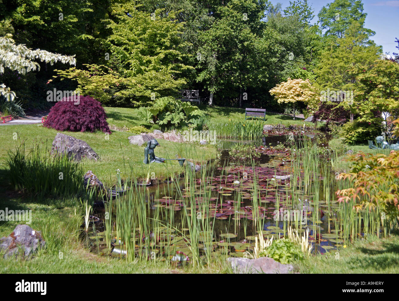 Lily Pond National Garden Ausstellung Zentrum Kilquade County Wicklow Irland Stockfoto