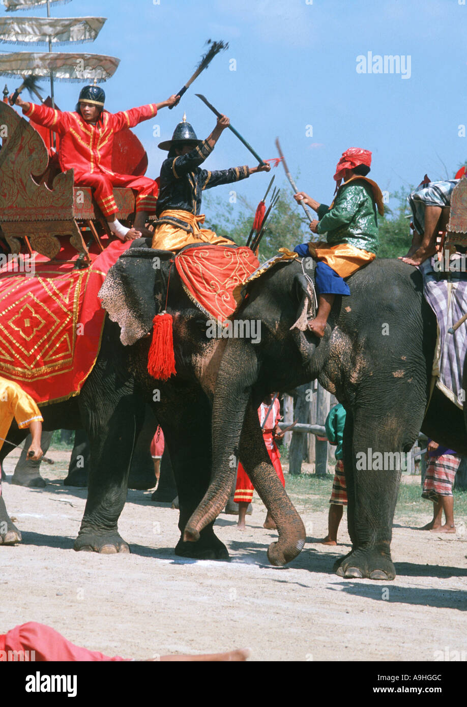 Indischer Elefant, Asiatischer Elefant (Elephas Maximus Indicus, Elephas Maximus Bengalensis), Krieger Elefanten Stockfoto