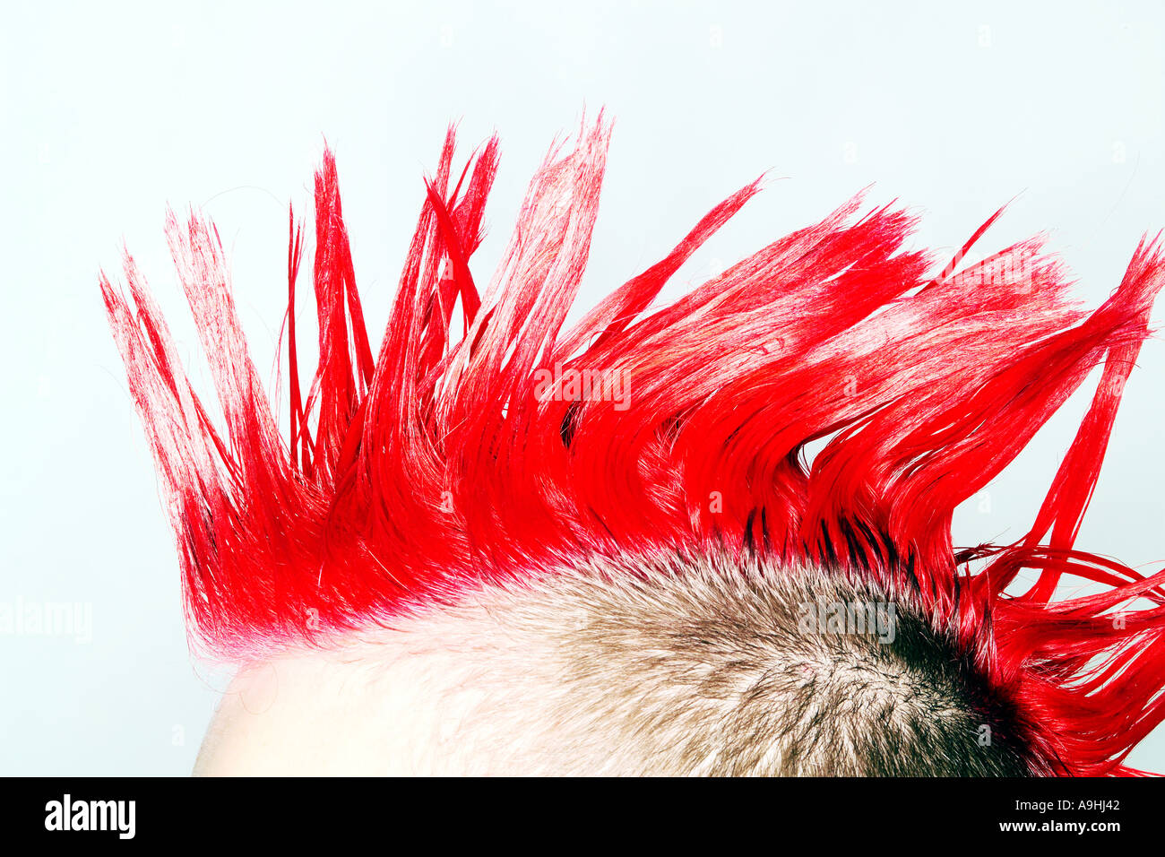 Seitenansicht des Punk-Rocker mit roten Irokesenschnitt Stockfoto