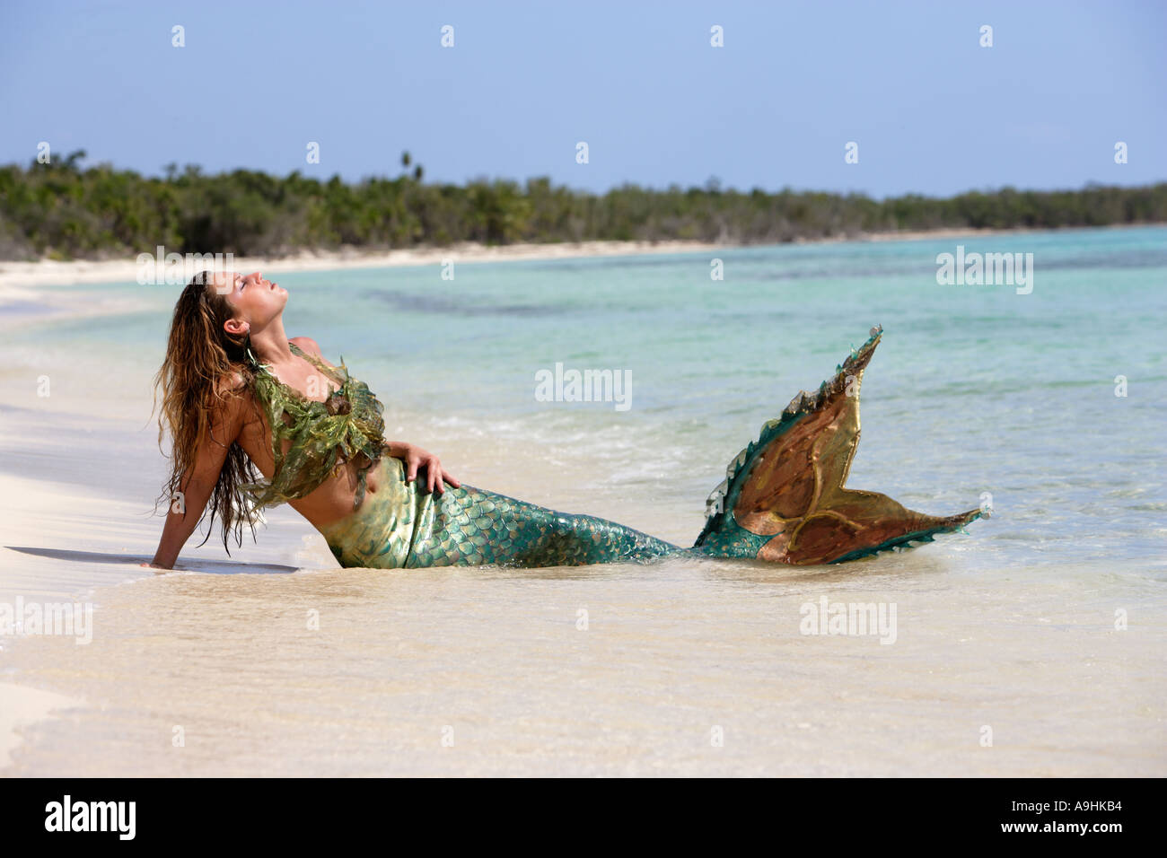 Meerjungfrau auf Conch Baum dock-Strand in der Nähe von Playa Palencar Cozumel Mexiko Stockfoto