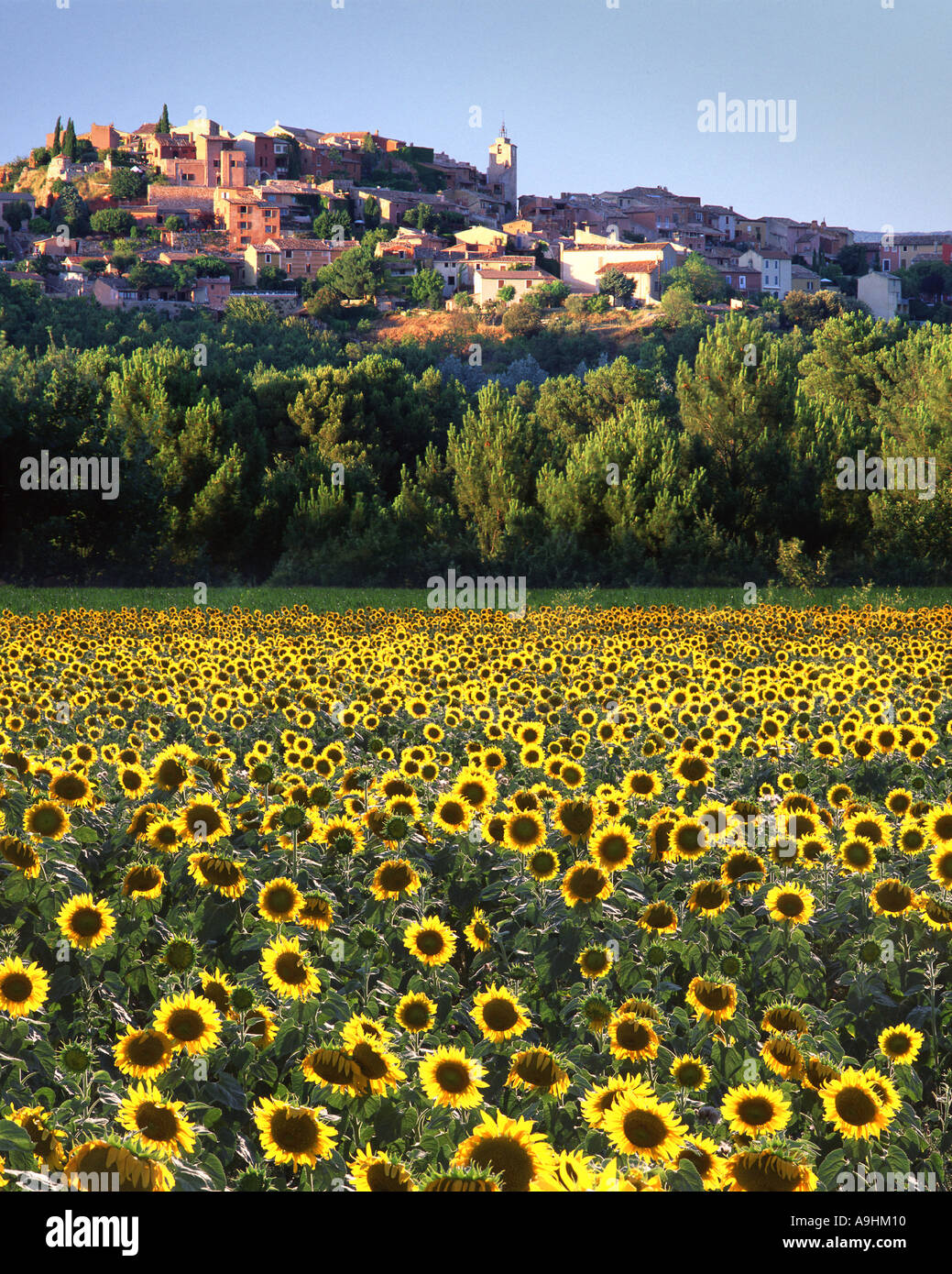 FR - PROVENCE: Roussillon Stockfoto