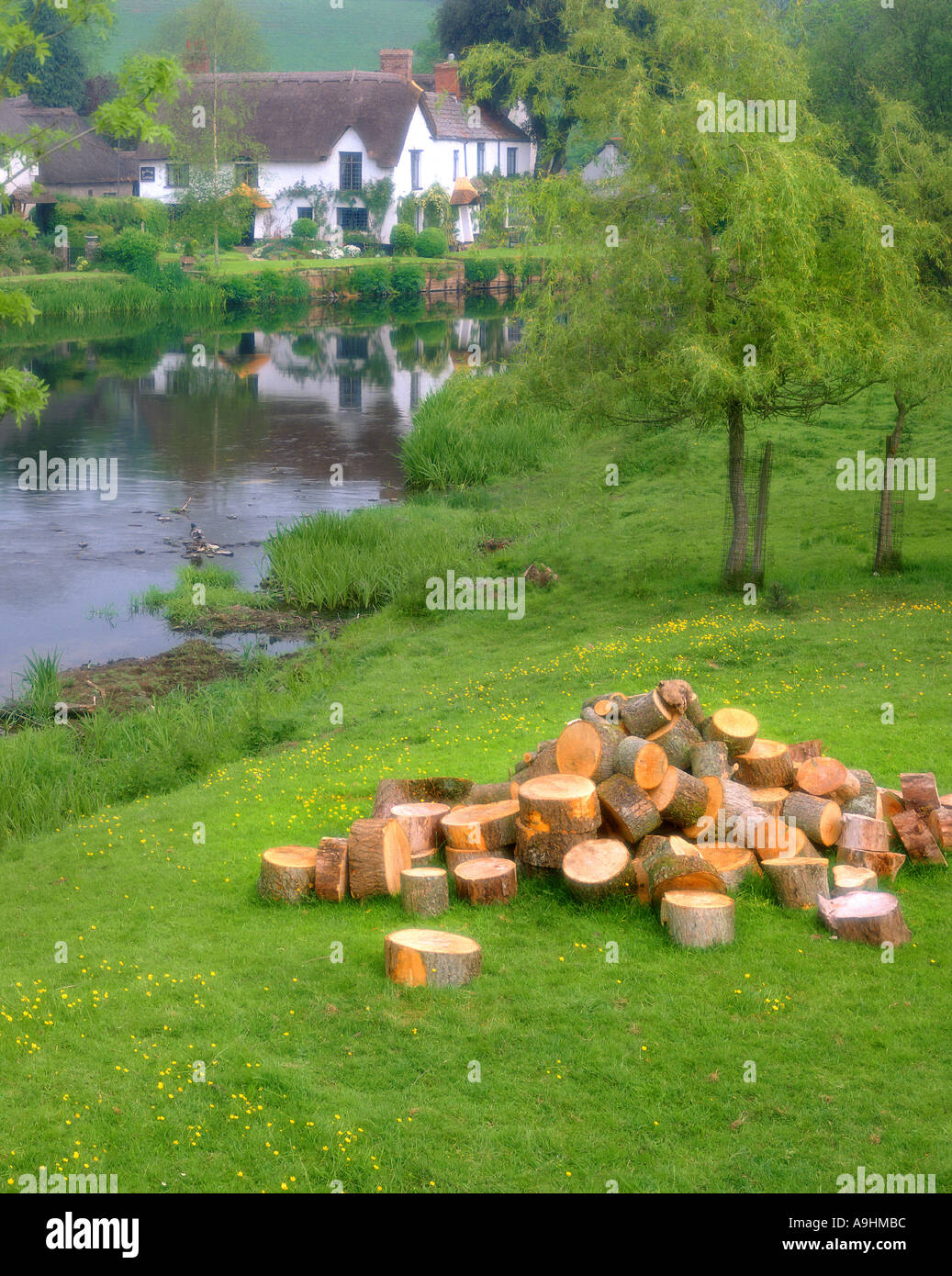 GB - DEVON: Fluss Exe im Ensemble Stockfoto