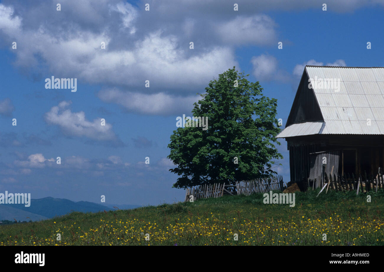 Blick von einer Wiese in den Höhen des Apuseni Berge Rumäniens Stockfoto