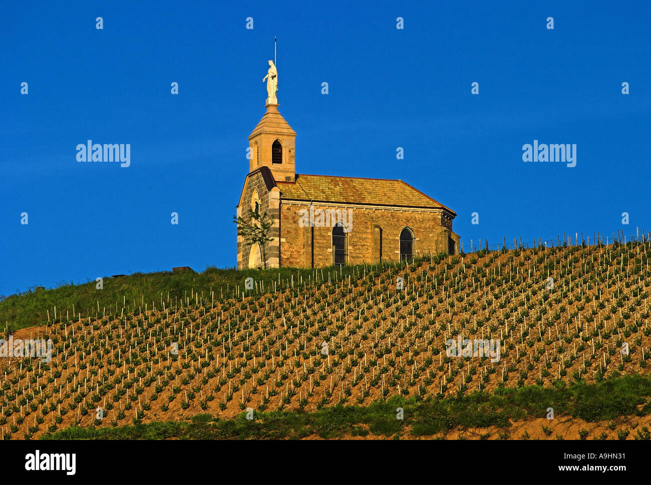 Die Chapelle de Madone in Fleurie im Morgenlicht in der Region Beaujolais, Frankreich Stockfoto
