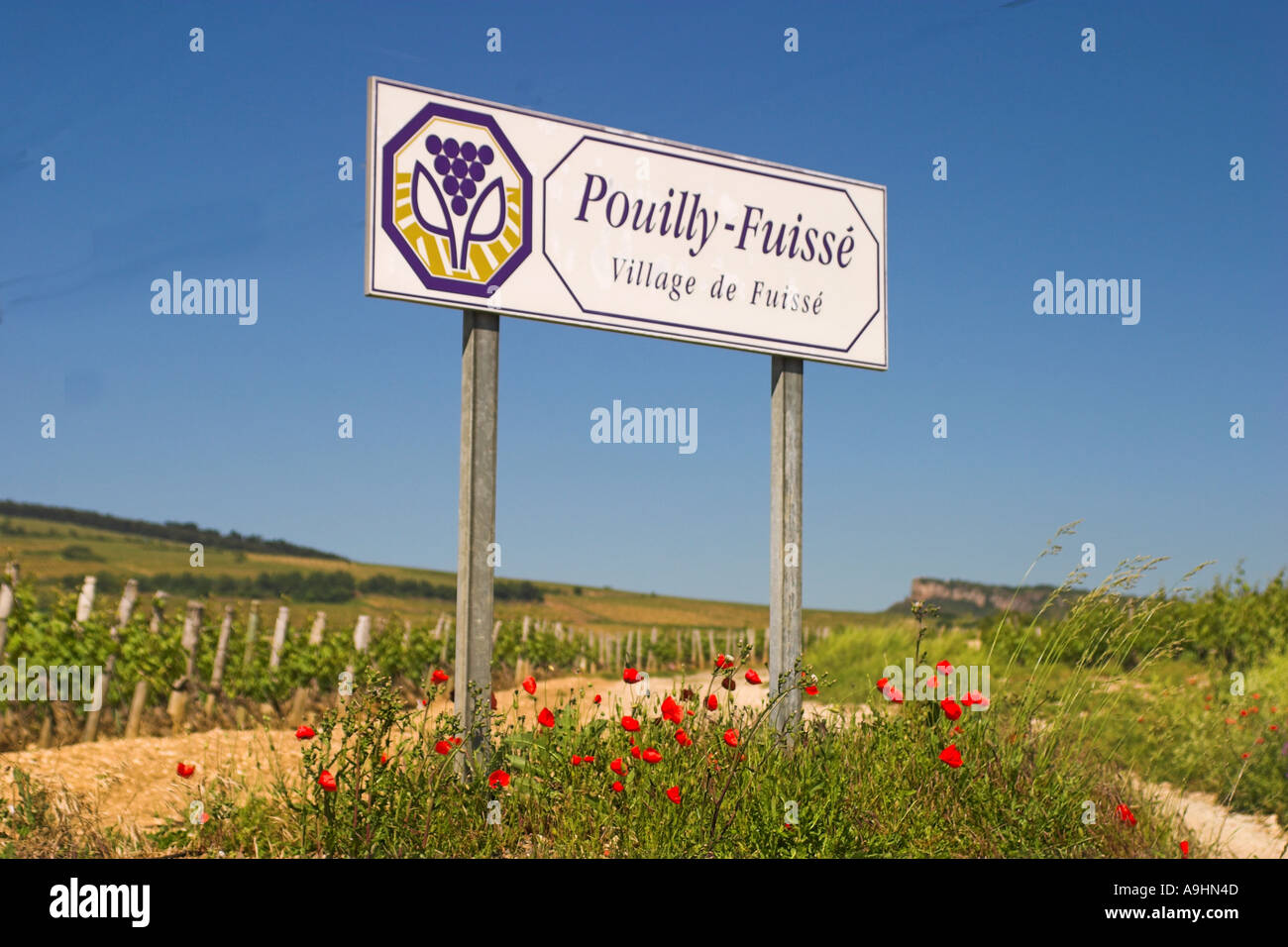 Eingabe der Pouilly-Fuisse. Pouilly und Fuissé sind zwei verschiedene Dörfer in der Mâconnais Stockfoto