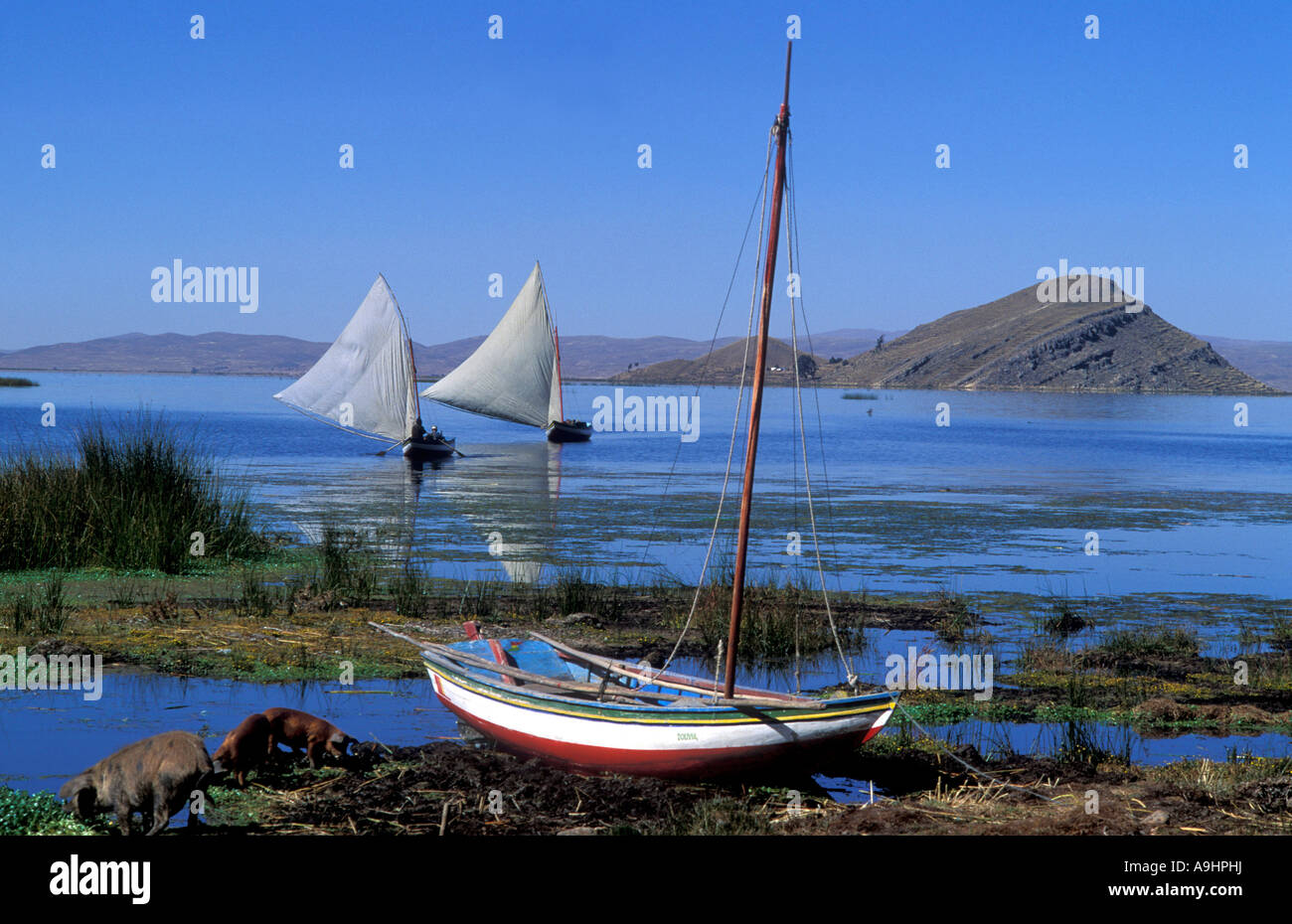 Segeln Angelboote/Fischerboote im Titicacasee, Peru. Stockfoto