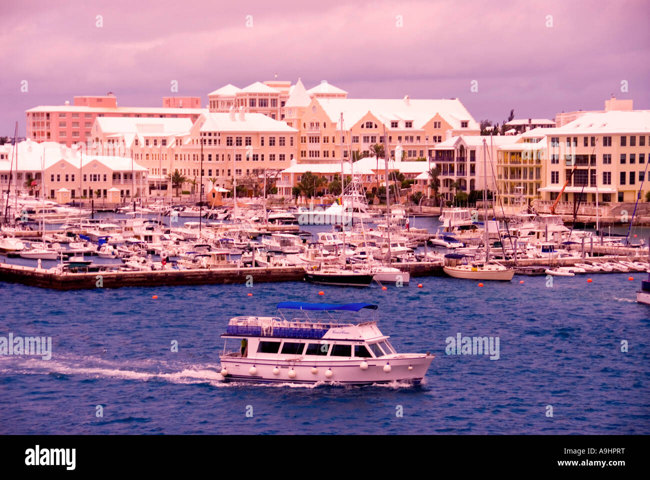 Bermuda Hamilton rosa Gebäude Architektur Hafen Hafen Marina Boote Eigentumswohnungen lila Himmelshintergrund Stockfoto