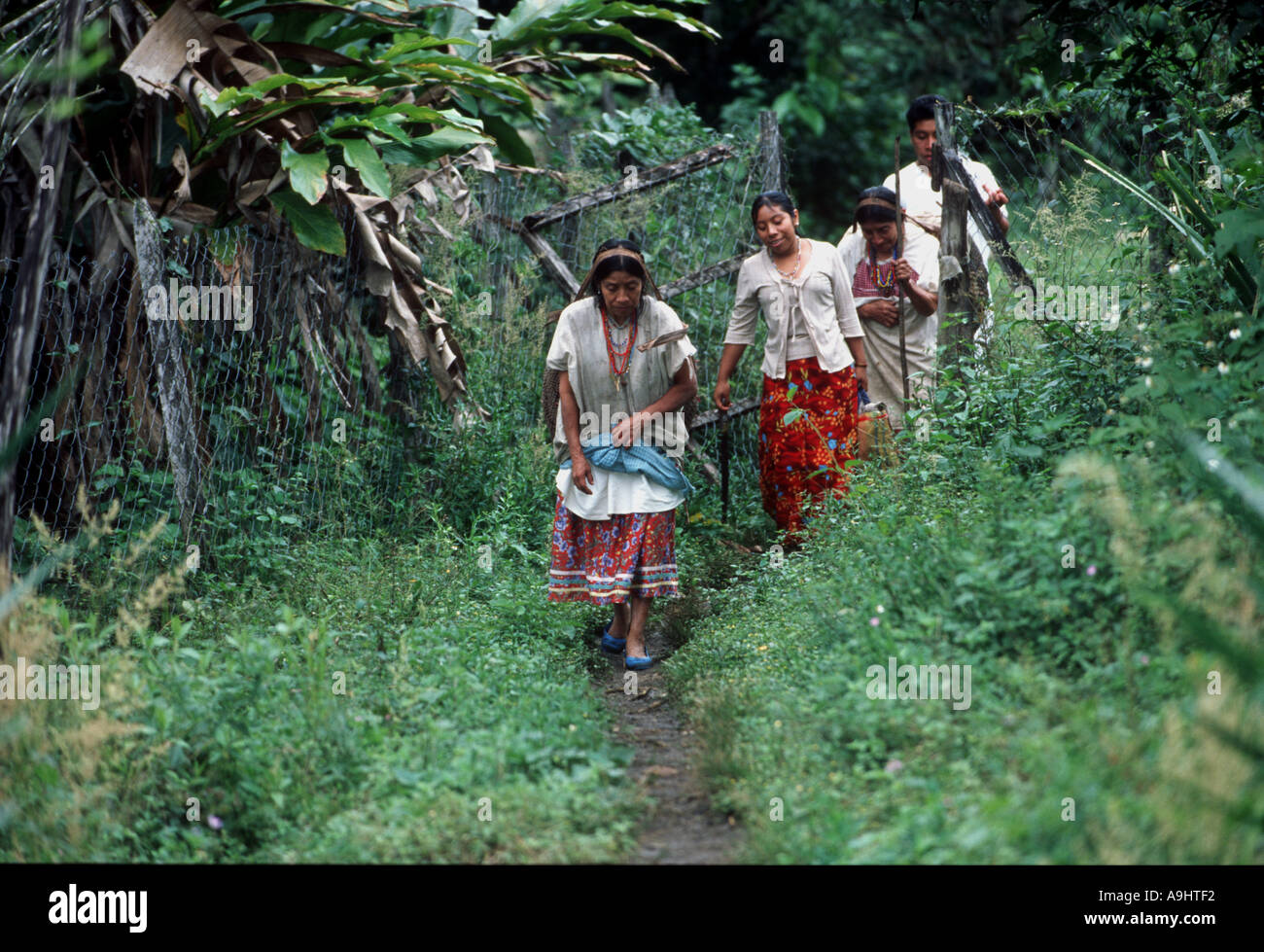 Mexiko, Chiapas, Naha, Selva Lacandona, Nordamerika. Stockfoto