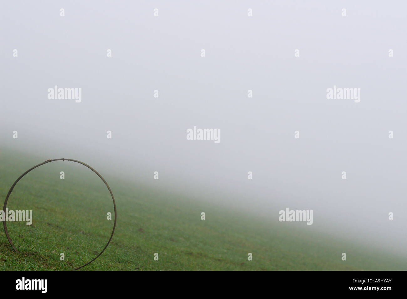 Nebliger Tag, Ring auf der Wiese Stockfoto